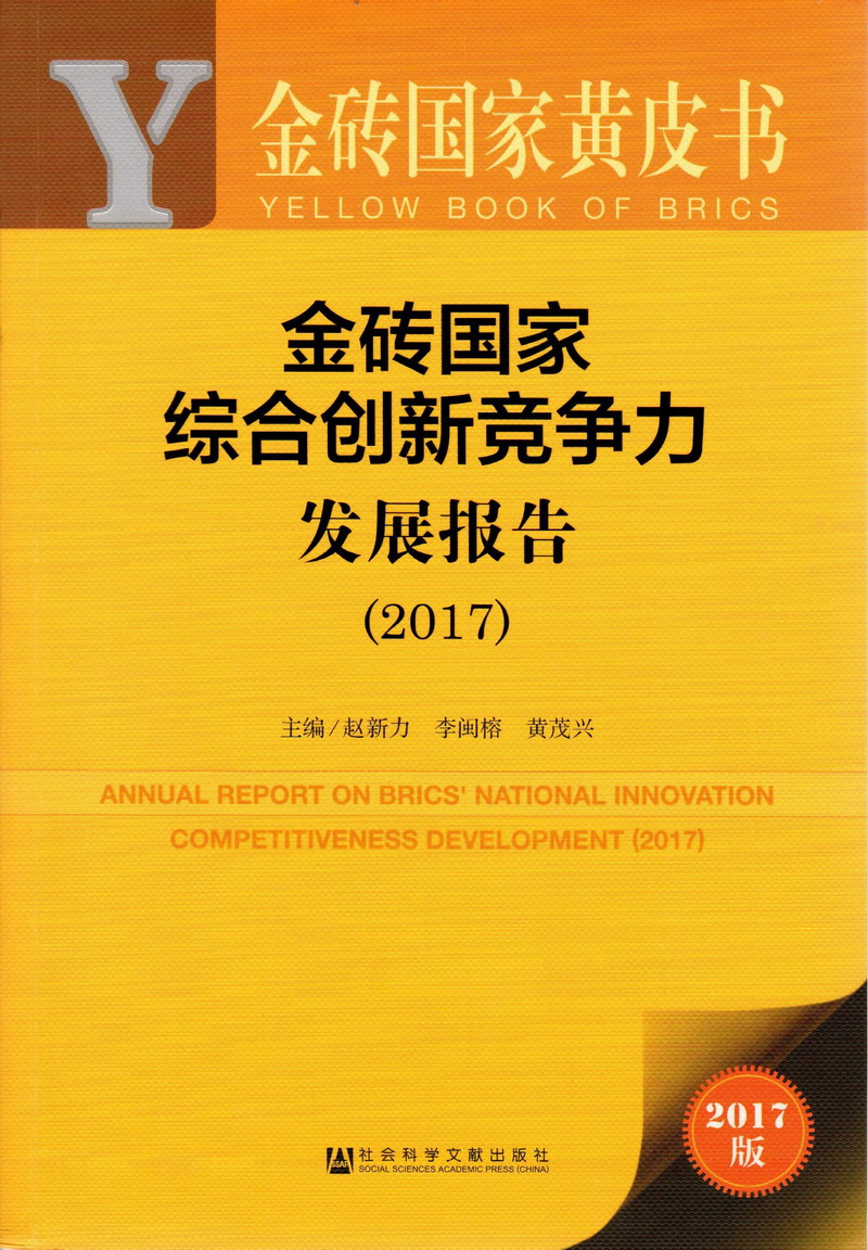 我要看欧美人操小逼金砖国家综合创新竞争力发展报告（2017）